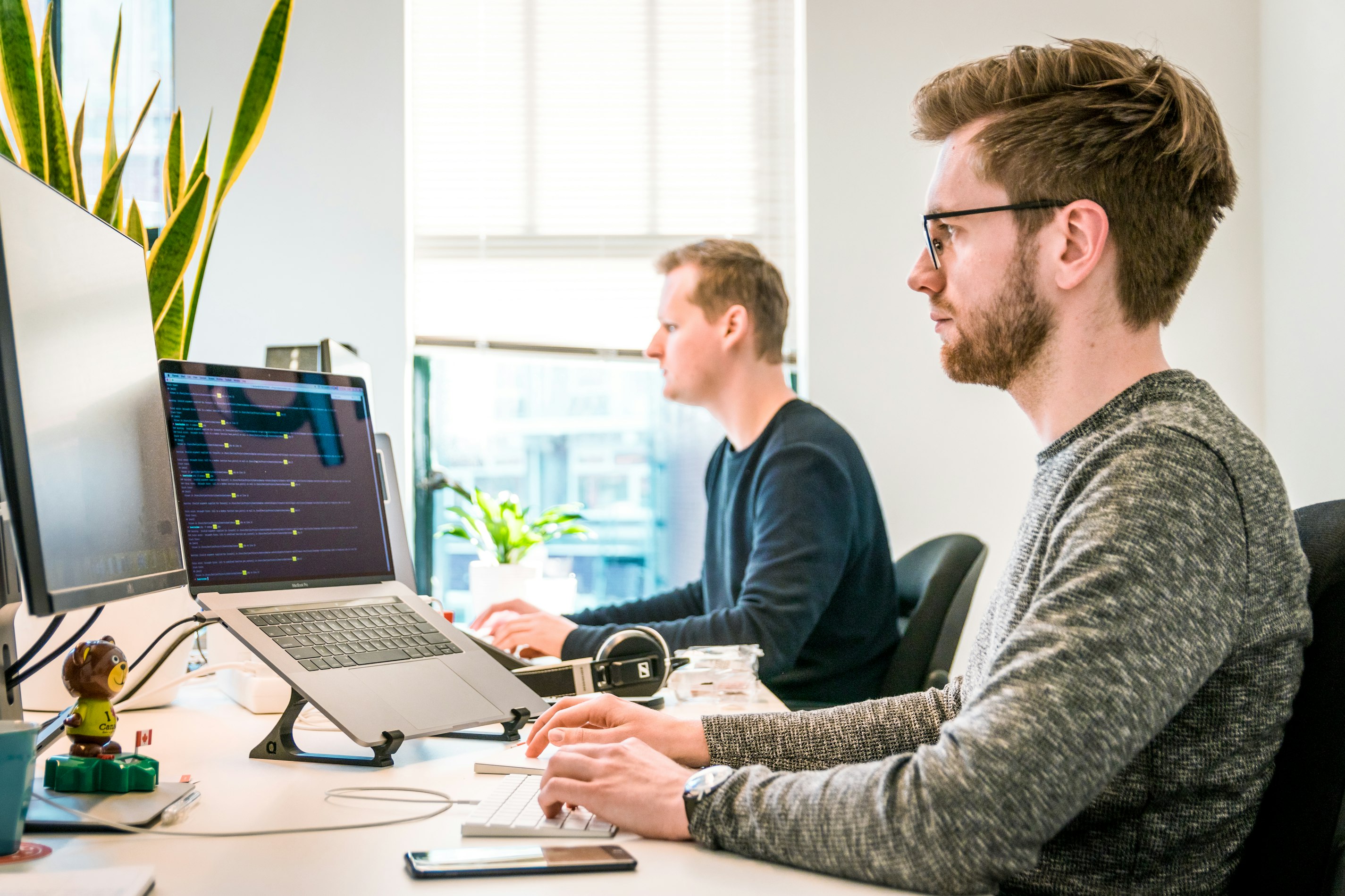 Web development